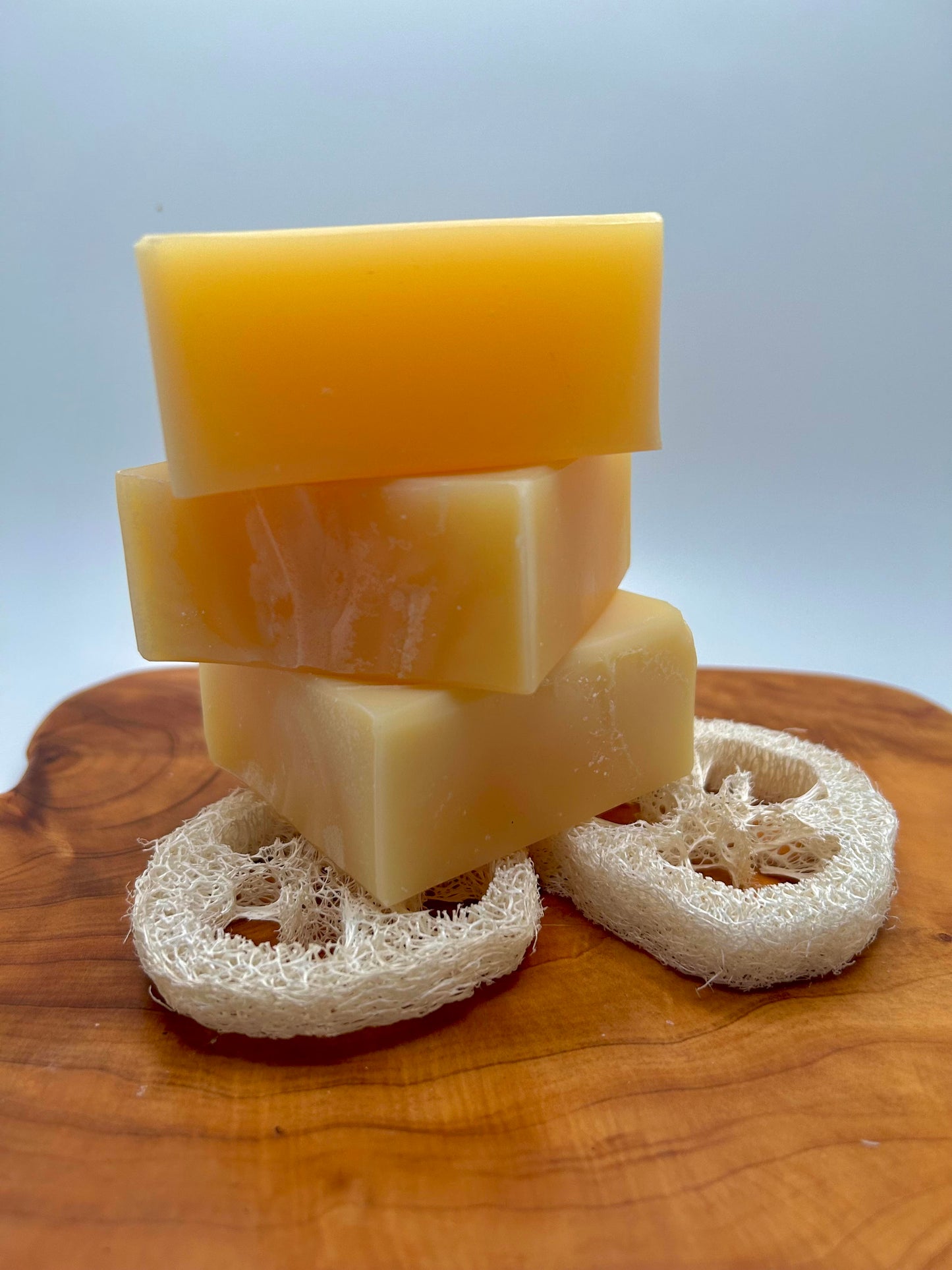 Citrus Dish Soap Block