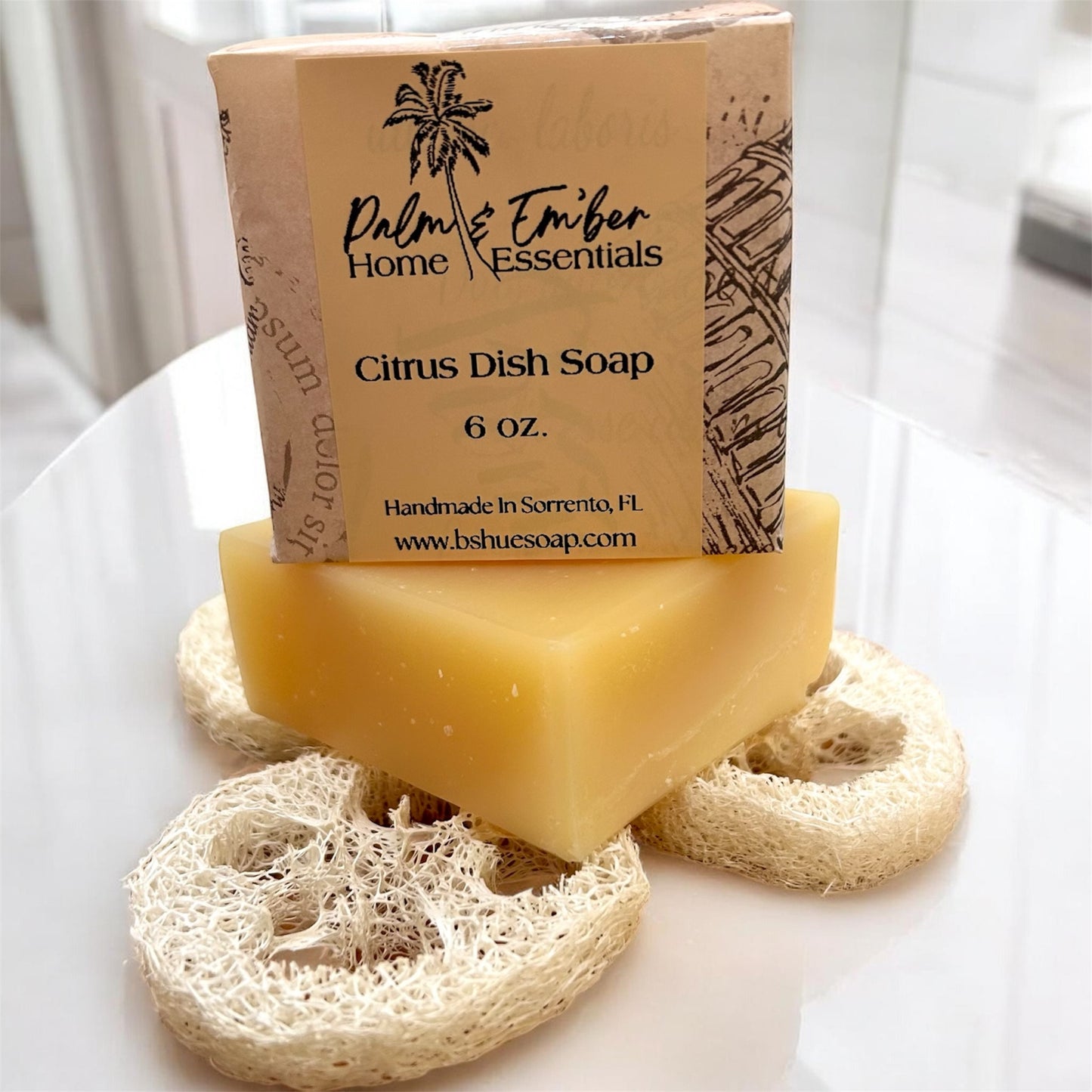 Citrus Dish Soap Block