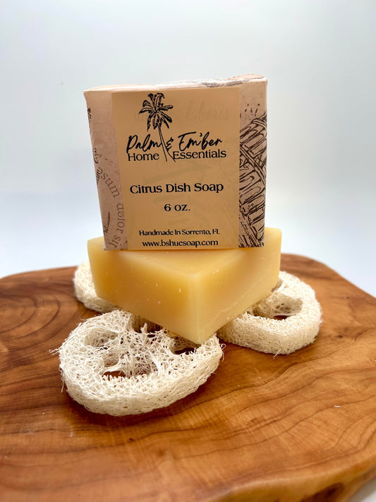Citrus Dish Soap Block